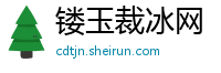 镂玉裁冰网